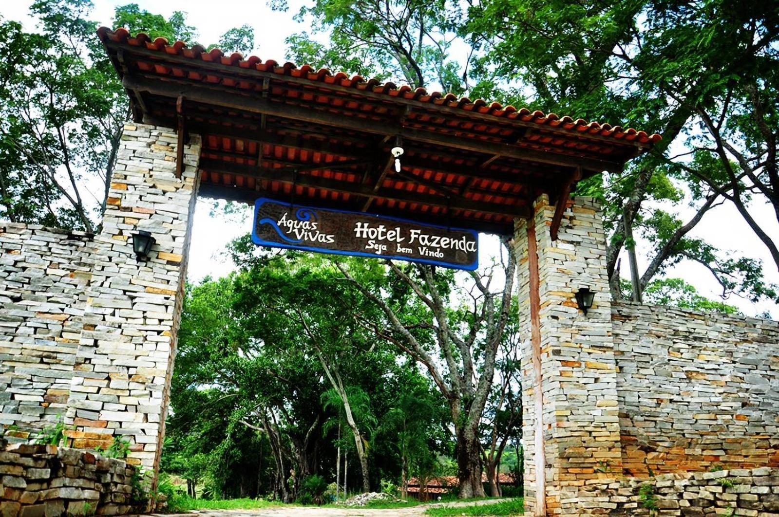águas Vivas Fazenda *