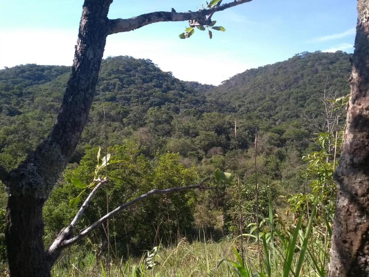 águas Vivas Fazenda