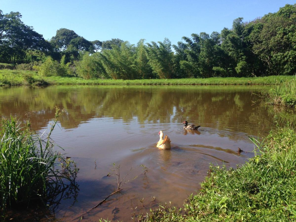 águas Vivas Fazenda