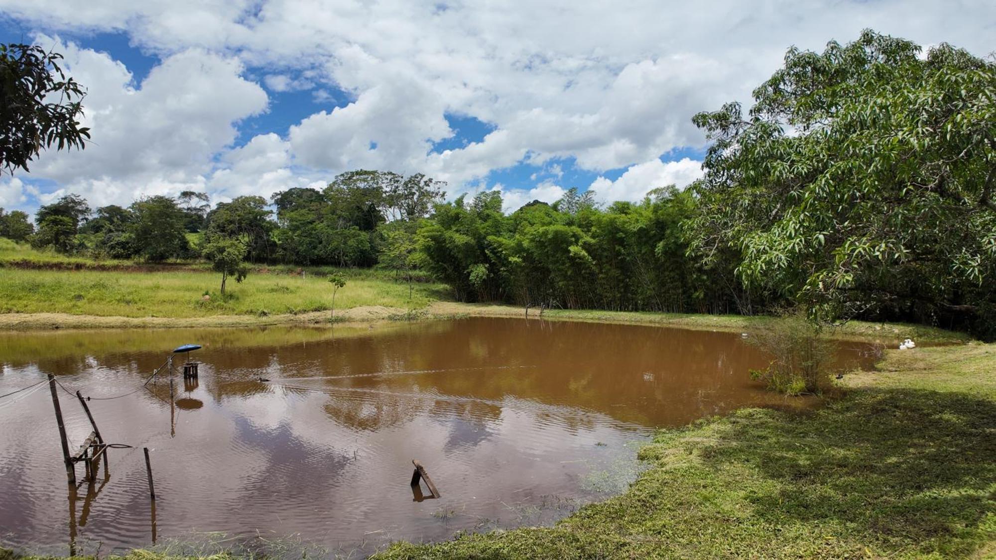 águas Vivas Fazenda * Pirenópolis